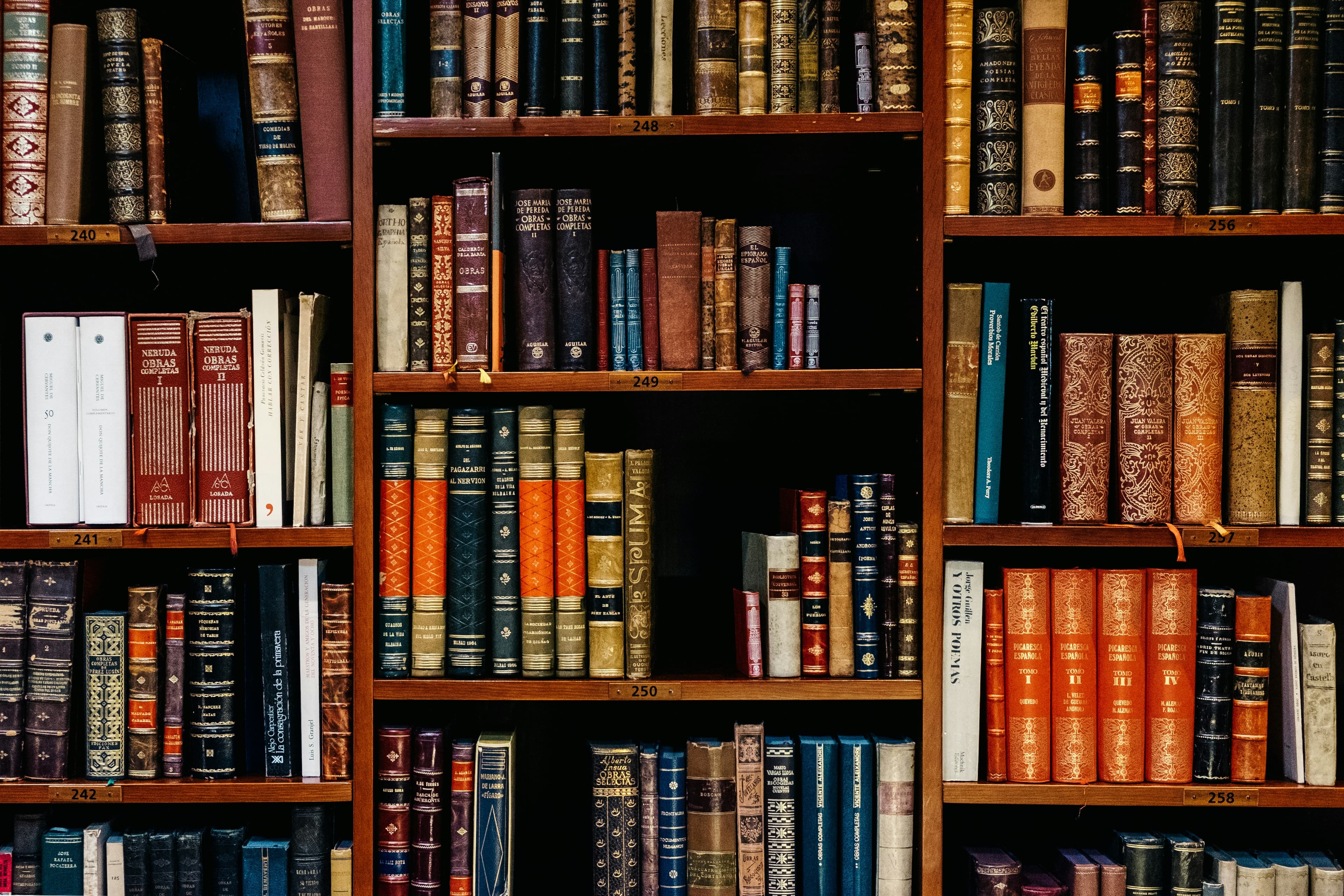 Volunteers organizing books